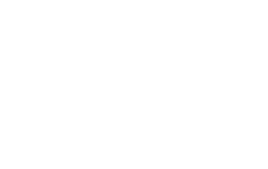 Lass Electrical Zone Logo